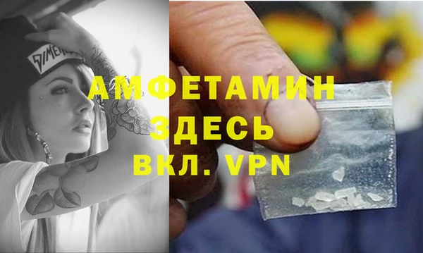 хмурый Белокуриха