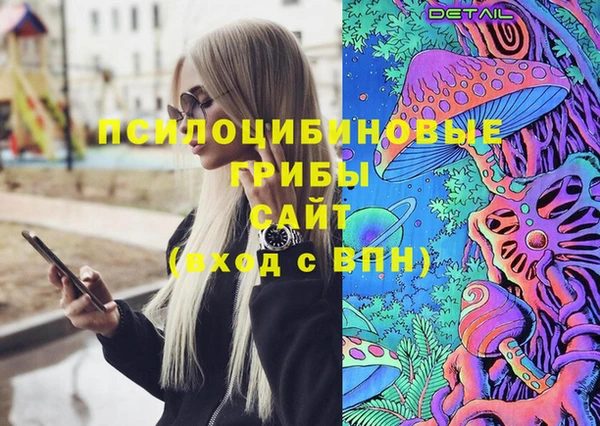 сатива Богородицк