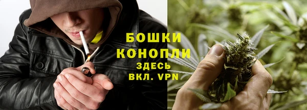 бошки Богородск