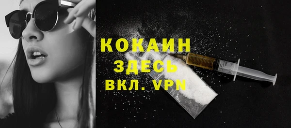 хмурый Белокуриха
