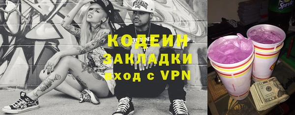 хмурый Белокуриха