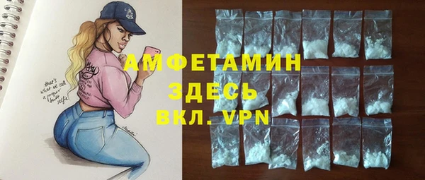хмурый Белокуриха