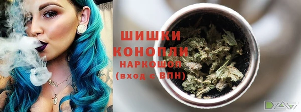хмурый Белокуриха